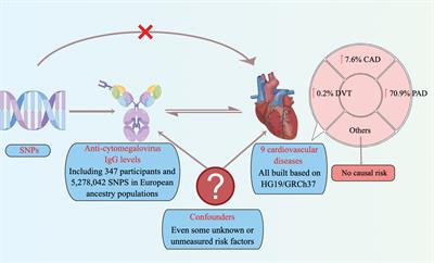 Genetic Predisposition of Anti-Cytomegalovirus Immunoglobulin G Levels and the Risk of 9 Cardiovascular Diseases